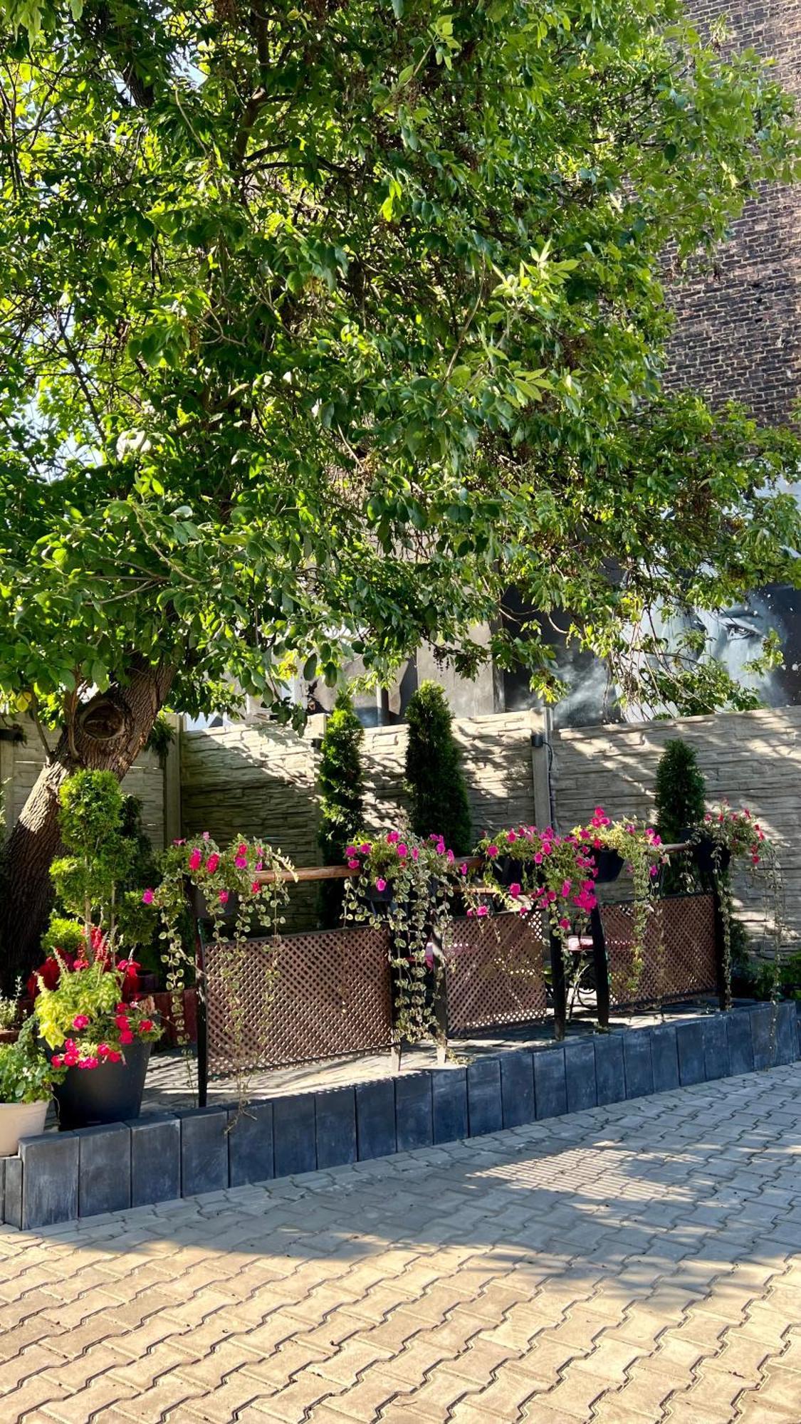 Apartamenty Katowicka 38 Świętochłowice Εξωτερικό φωτογραφία